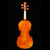 VB-104 Violin