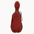 6310 Zipper Semi-Ridged Cello Case