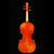 GV-510 Violin