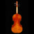 GV-520 Violin