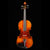 GV-550 Violin