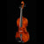 GV-560 Violin