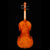 GV-560 Violin