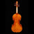 GV-580 Violin