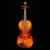 GV-580 Maggini Violin